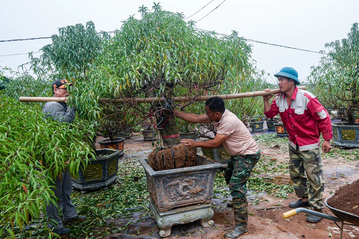 làng đào - Ảnh 5.