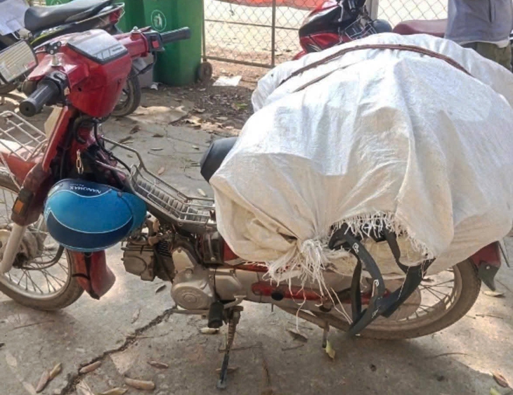 rác thải - Ảnh 2.