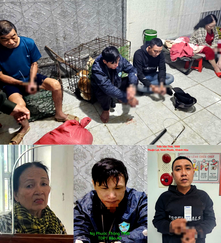 Khởi tố 4 bị can trộm cắp chó ở Khánh Hòa - Ảnh 1.