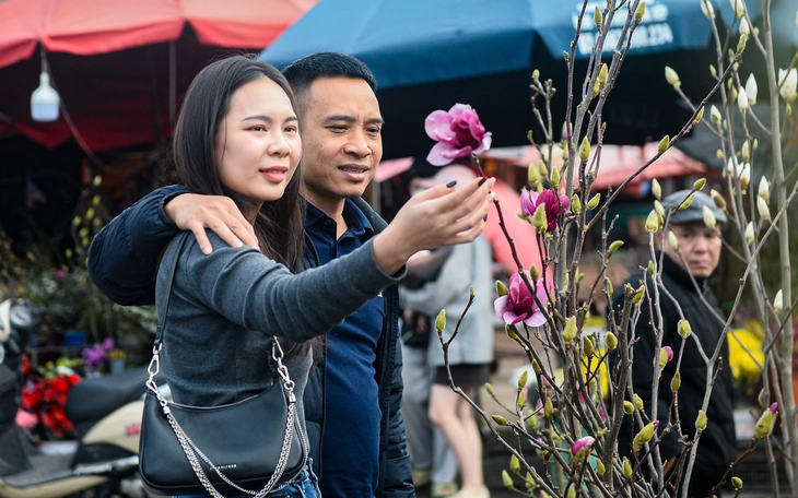 Đào rừng về Hà Nội, người chơi có mặn mà? - Ảnh 11.