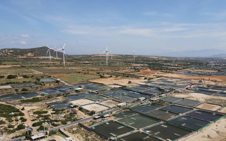 Sẽ chi trả bồi thường dự án điện hạt nhân trước tết nguyên đán Bính Ngọ 2026 - Ảnh 4.