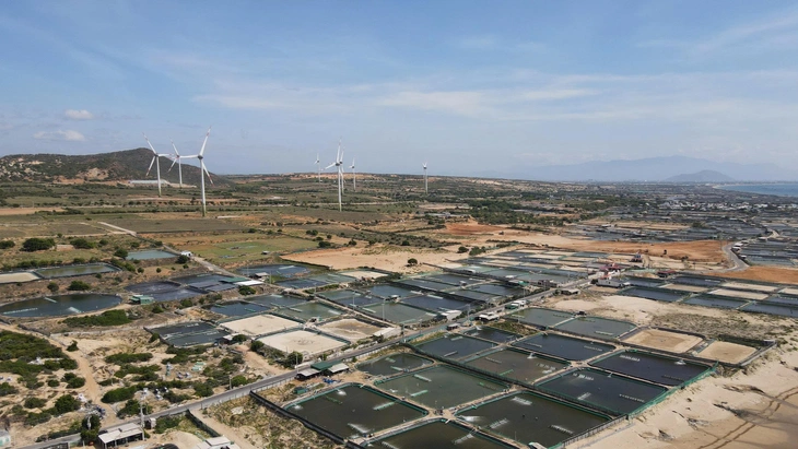 Gần 6.700 tỉ đồng thực hiện dự án di dời, tái định cư cho Nhà máy Điện hạt nhân Ninh Thuận 1 - Ảnh 1. Gần 6.700 tỉ đồng thực hiện dự án di dời, tái định cư cho Nhà máy Điện hạt nhân Ninh Thuận 1 - Ảnh 1.