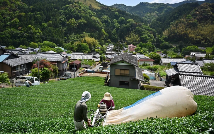 Chờ đợi hàng giờ để mua cốc matcha giá 120.000 đồng: Đắt có xắt ra miếng? - Ảnh 5.