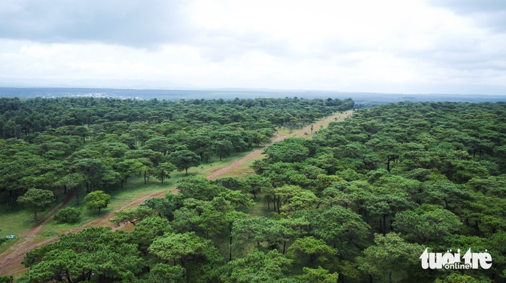 sân golf Đak Đoa - Ảnh 1.