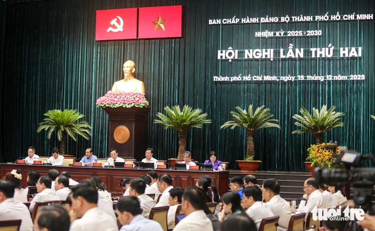 Trần Lưu Quang - Ảnh 2.