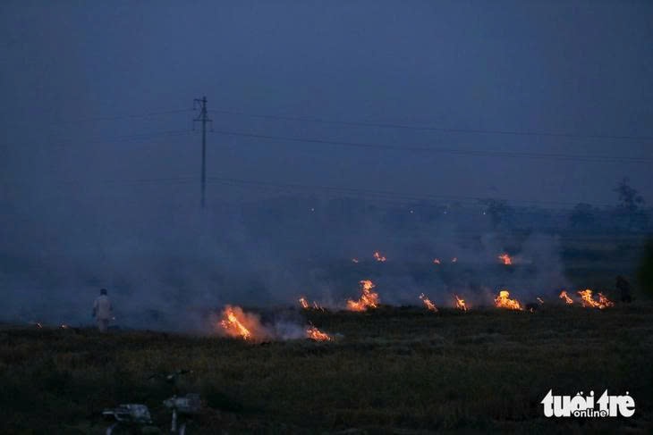 Ô nhiễm - Ảnh 1.