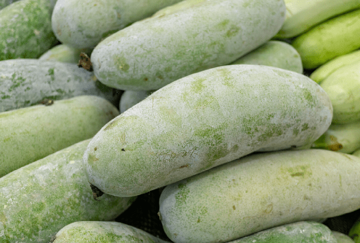 Nước ép bí đao có giúp thải độc bên trong cơ thể người? - Ảnh 1.