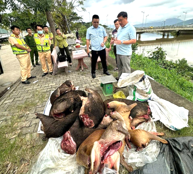 động vật - Ảnh 1.