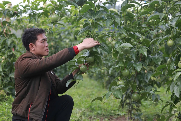 nông nghiệp - Ảnh 2.