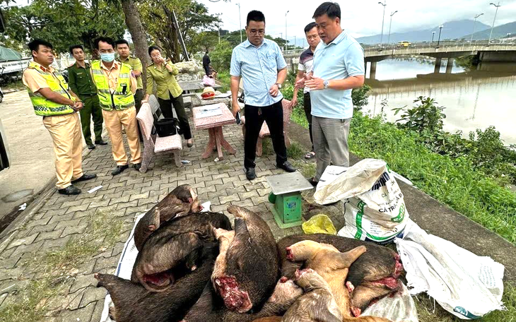 Khởi tố hai bị can mua bán, tàng trữ động vật hoang dã quý hiếm - Ảnh 2.