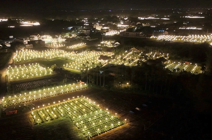 Triệu bóng đèn tạo 'thành phố ánh sáng' ở vựa hoa cúc Tết miền Trung - Ảnh 2.