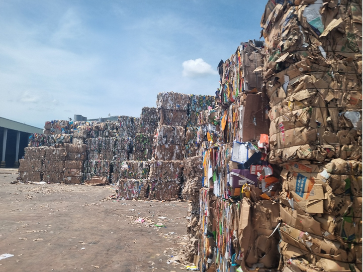 tiêu dùng xanh - Ảnh 3.