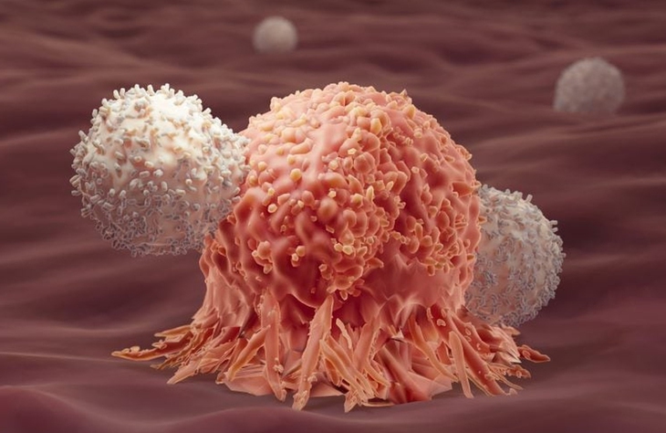 Cuộc chiến trường kỳ chống ung thư - Kỳ 2: Liệu pháp miễn dịch của TS James Allison - Ảnh 3. ung thư - Ảnh 3.