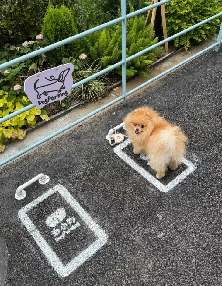 ảnh vui - Ảnh 1.