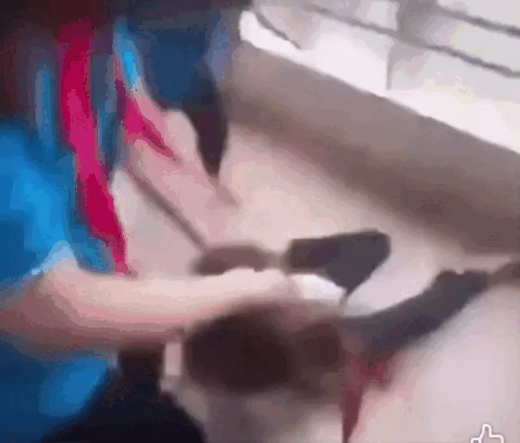 Nữ sinh bị nhóm bạn túm tóc quật ngã, 'giật ngược giật xuôi' trong trường học - Ảnh 1.