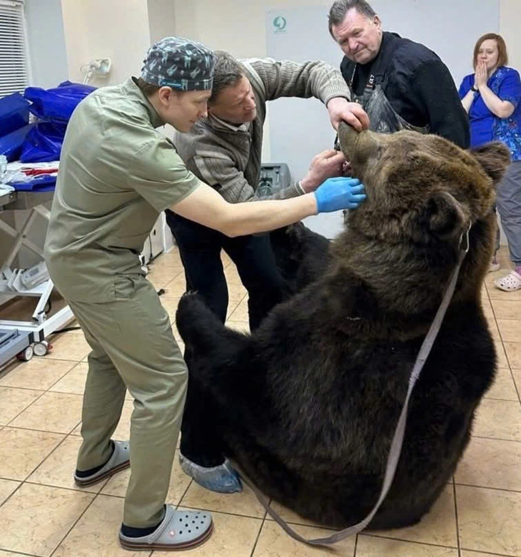 ảnh vui - Ảnh 2.