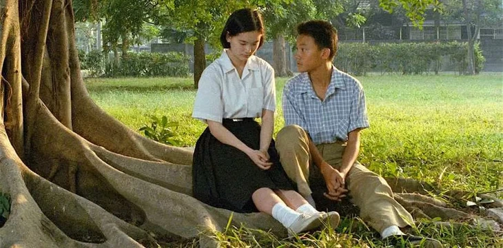 Trương Chấn - Ảnh 2.