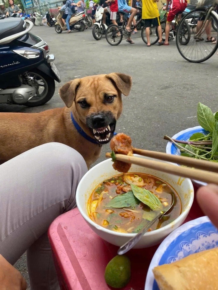 ảnh vui - Ảnh 3.