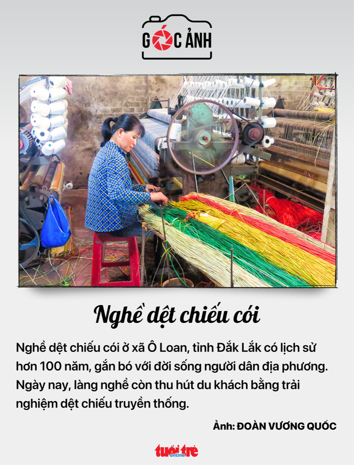 tuổi thọ - Ảnh 5.