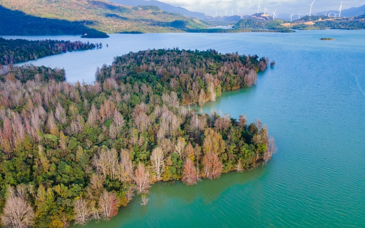 Quảng Trị tất bật chuẩn bị lễ đón năm mới ‘lần đầu tiên’ - Ảnh 5.