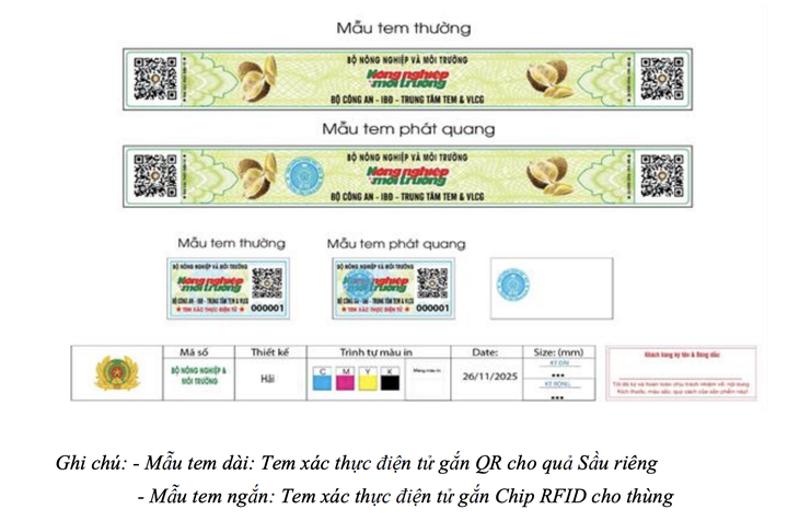 sầu riêng - Ảnh 1.