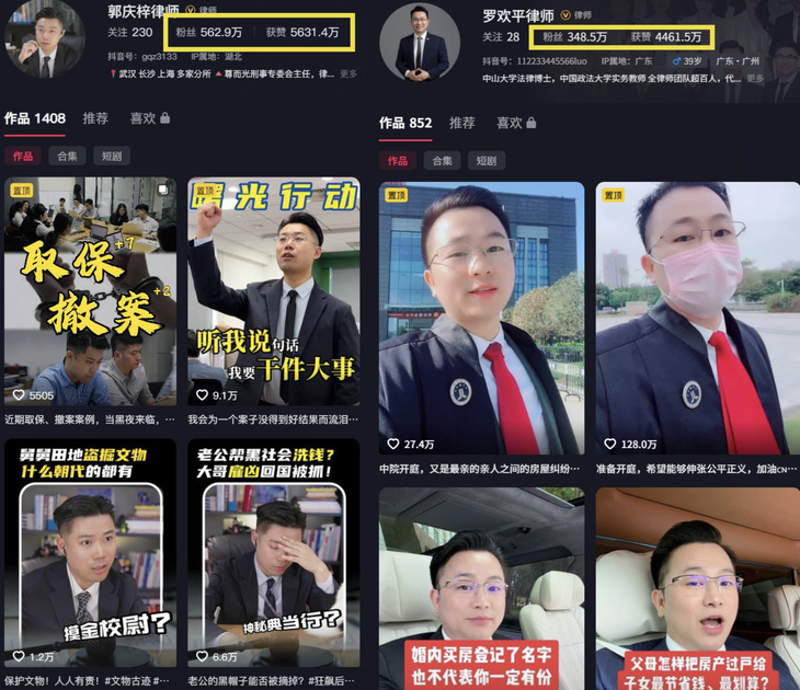 luật sư - Ảnh 3.