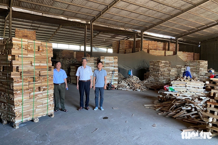 rừng bền vững - Ảnh 3.