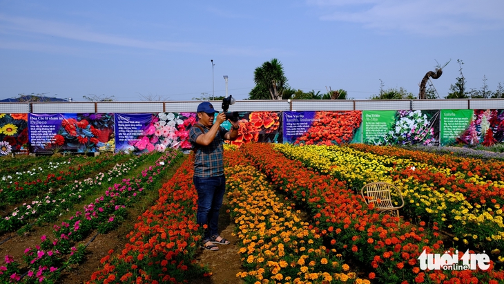 làng hoa Sa Đéc - Ảnh 4.