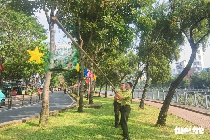 bẫy chim - Ảnh 1.