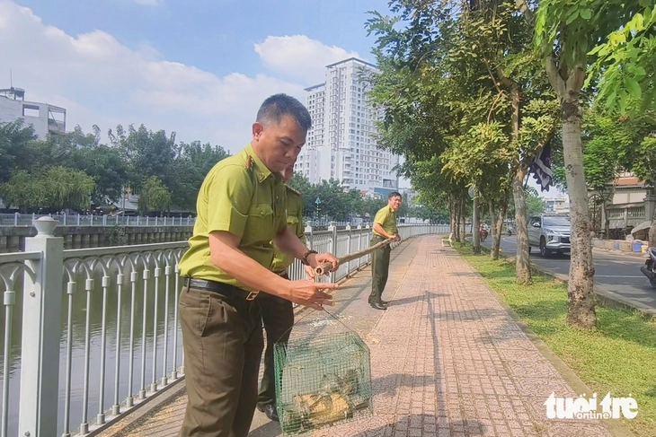 Tháo gỡ hàng loạt lồng bẫy kèm máy phát dụ bắt chim bên kênh Nhiêu Lộc - Thị Nghè - Ảnh 3.