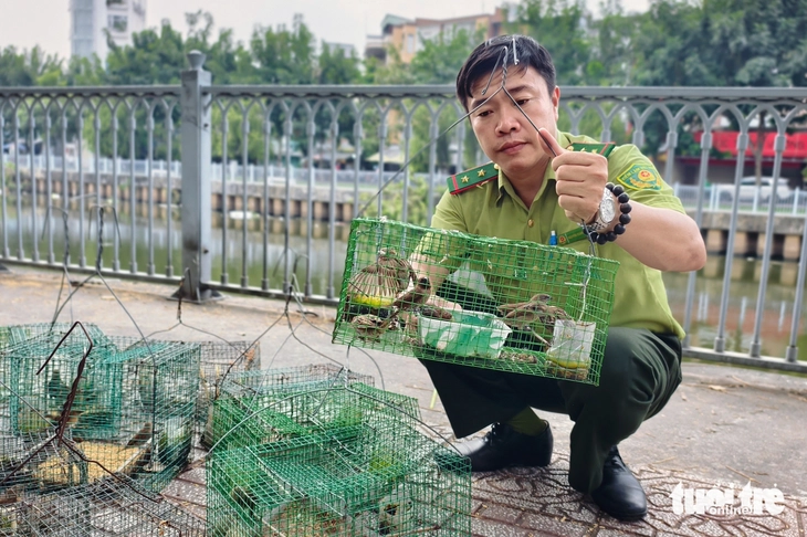 bẫy chim - Ảnh 5.
