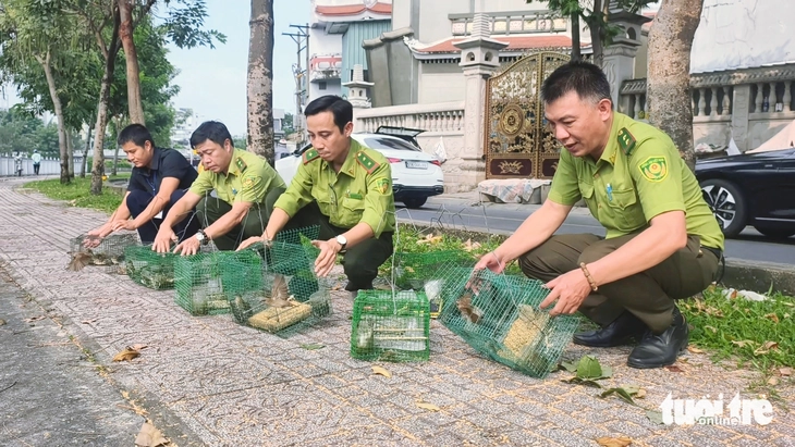 Tháo gỡ hàng loạt lồng bẫy kèm máy phát dụ bắt chim bên kênh Nhiêu Lộc - Thị Nghè - Ảnh 8.
