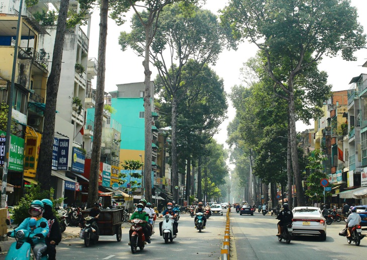 mảng xanh - Ảnh 2.