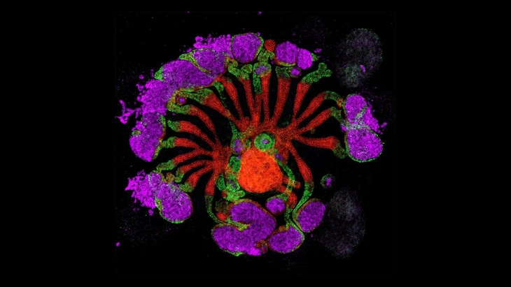 ảnh khoa học - Ảnh 3.