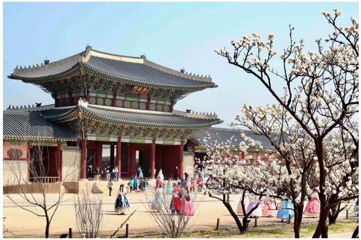 Study Tour - Ảnh 3.