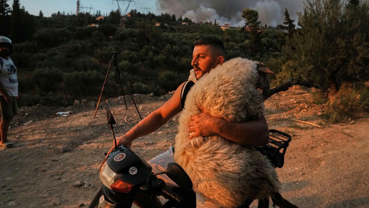 Nature chọn ảnh khoa học đẹp nhất 2025: Những khoảnh khắc khiến con người phải chậm lại - Ảnh 9.