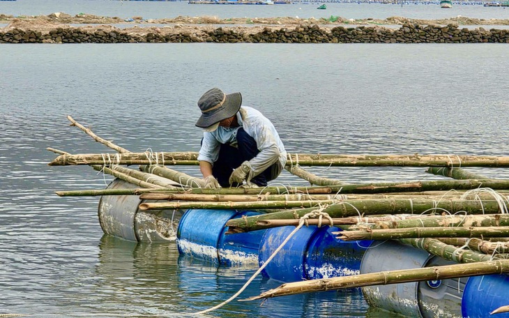 Khẩn trương khắc phục đập Tam Giang tưới tiêu vụ Đông - Xuân sau phản ánh của Tuổi Trẻ - Ảnh 11.