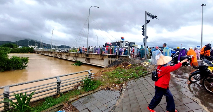 ‘Đòi’ giữ cây mọc bậy bạ, trái thiết kế dự án 590 tỉ đồng thoát lũ cho tây Nha Trang - Ảnh 5.