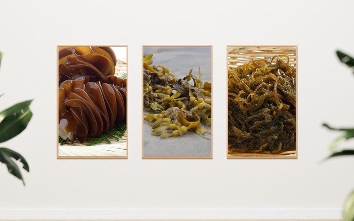 Hoạt chất Fucoidan Nhật hỗ trợ chăm sóc sức khỏe chủ động mỗi ngày - Ảnh 5.