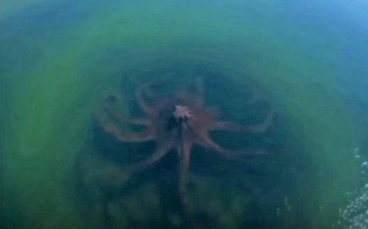 Tổng thống Philippines công bố đội quân mới khiến thế giới chấn động? - Ảnh 3.