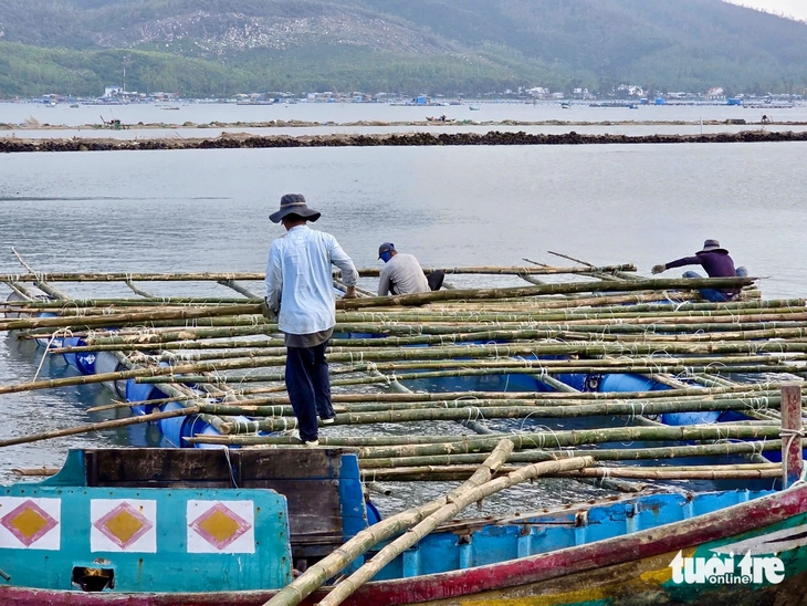 ‘Thủ phủ tôm hùm’ gượng dậy - Ảnh 3.