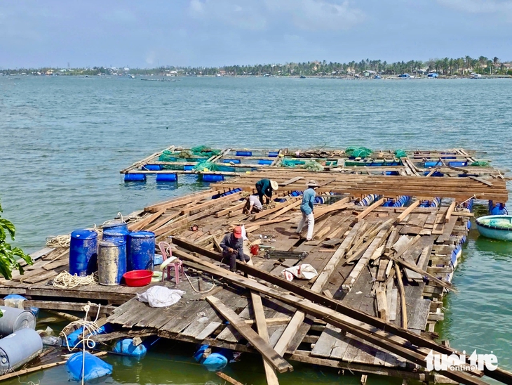 tôm hùm - Ảnh 8.