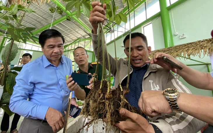 Hội Doanh nhân trẻ Đà Nẵng: Hướng đến kết nối tri thức, nguồn lực, thị trường - Ảnh 5.
