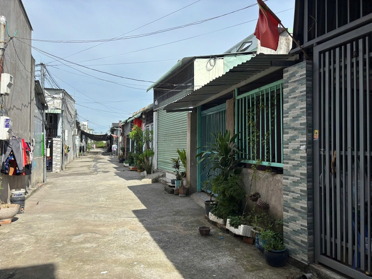 vi bằng - Ảnh 1.