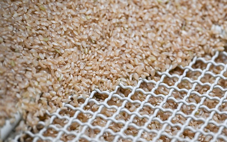 Gạo ngoại tràn vào Nhật Bản khi giá gạo nội địa lập đỉnh - Ảnh 1.