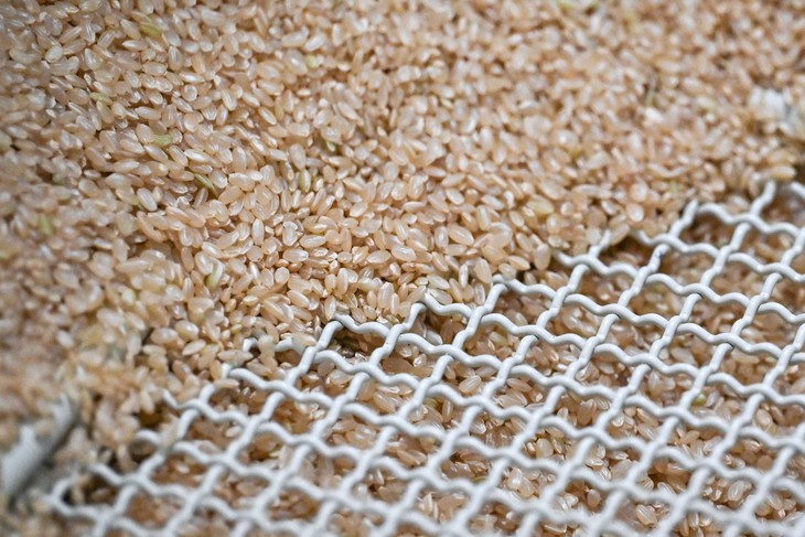 Nhật Bản - Ảnh 1.