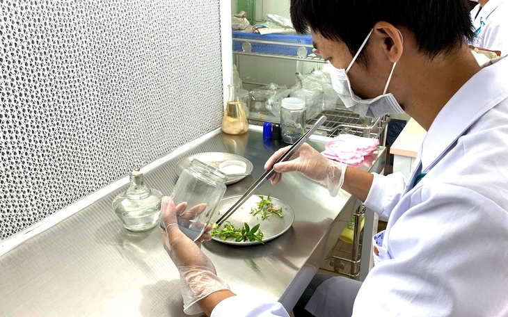 Ngày tốt nghiệp thành ‘sân chơi’ của những ý tưởng không tưởng của sinh viên - Ảnh 15.