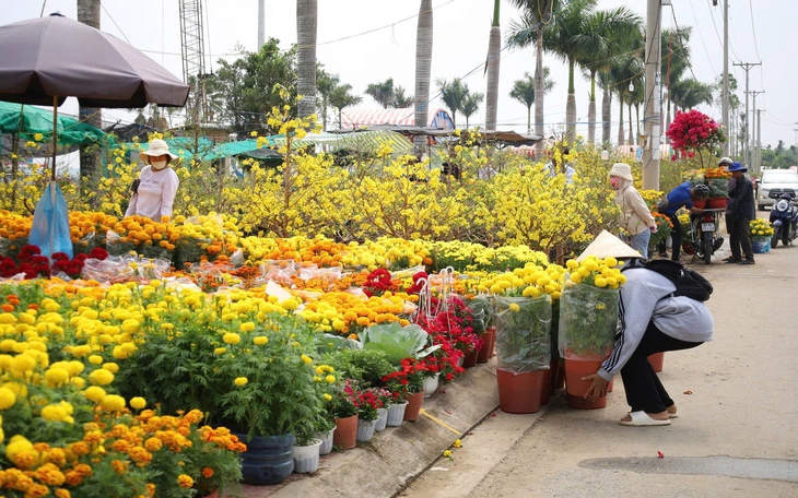 Sáng tác logo thành phố Cần Thơ được thưởng 90 triệu đồng - Ảnh 2.