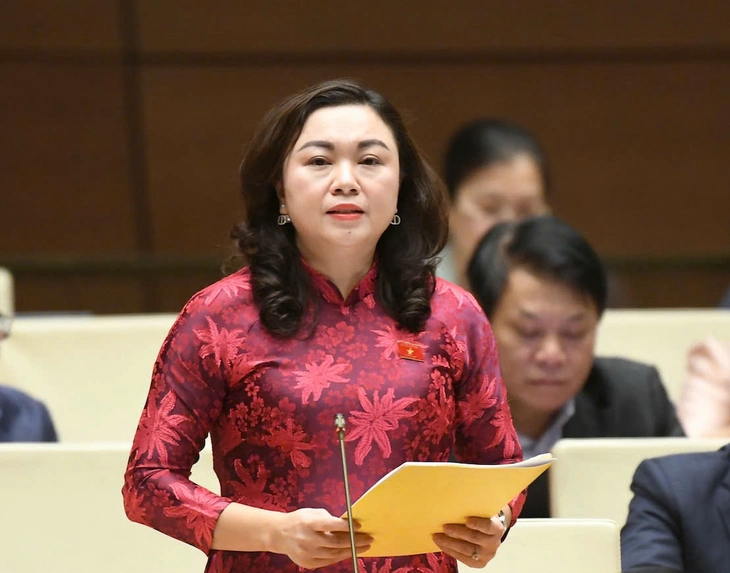 Đại biểu đề xuất miễn 1 năm tiền đóng bảo hiểm y tế tự nguyện cho người dân các tỉnh bị bão lũ - Ảnh 3.