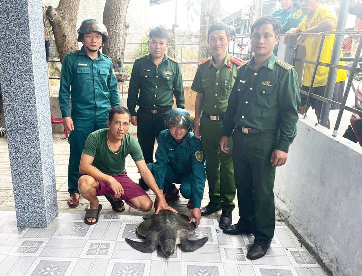 Đồi mồi dứa quý hiếm 17kg mắc vào lưới của ngư dân - Ảnh 1.